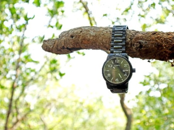 Horloge hangt aan stam