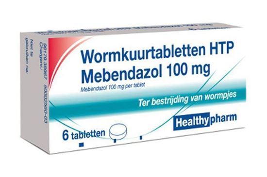 Mebendazol Wurmkur Tablette 100mg