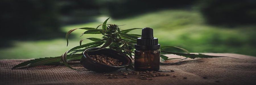 CBD Öl , die Qualität ist entscheidend