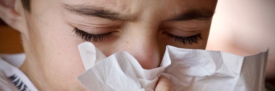 Die Grippe (Influenza) ist momentan viel schlimmer als das Coronavirus