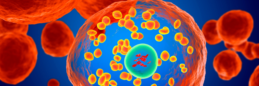 Vitamine & Co sind wichtig für ein schwaches Immunsystem